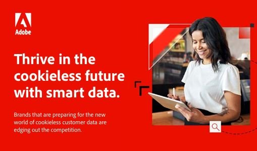 Thrive in the cookieless future with smart data.