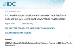 IDC MarketScape: Worldwide Customer Data Platforms 
Focused on B2C Users 2024–2025 Vendor Assessmen