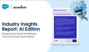 Industry Insights 
Report: AI Edition