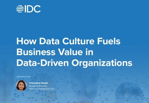 Business Value in 
Data-Driven Organizations