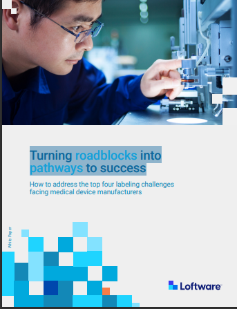 Turning roadblocks into pathways to success
